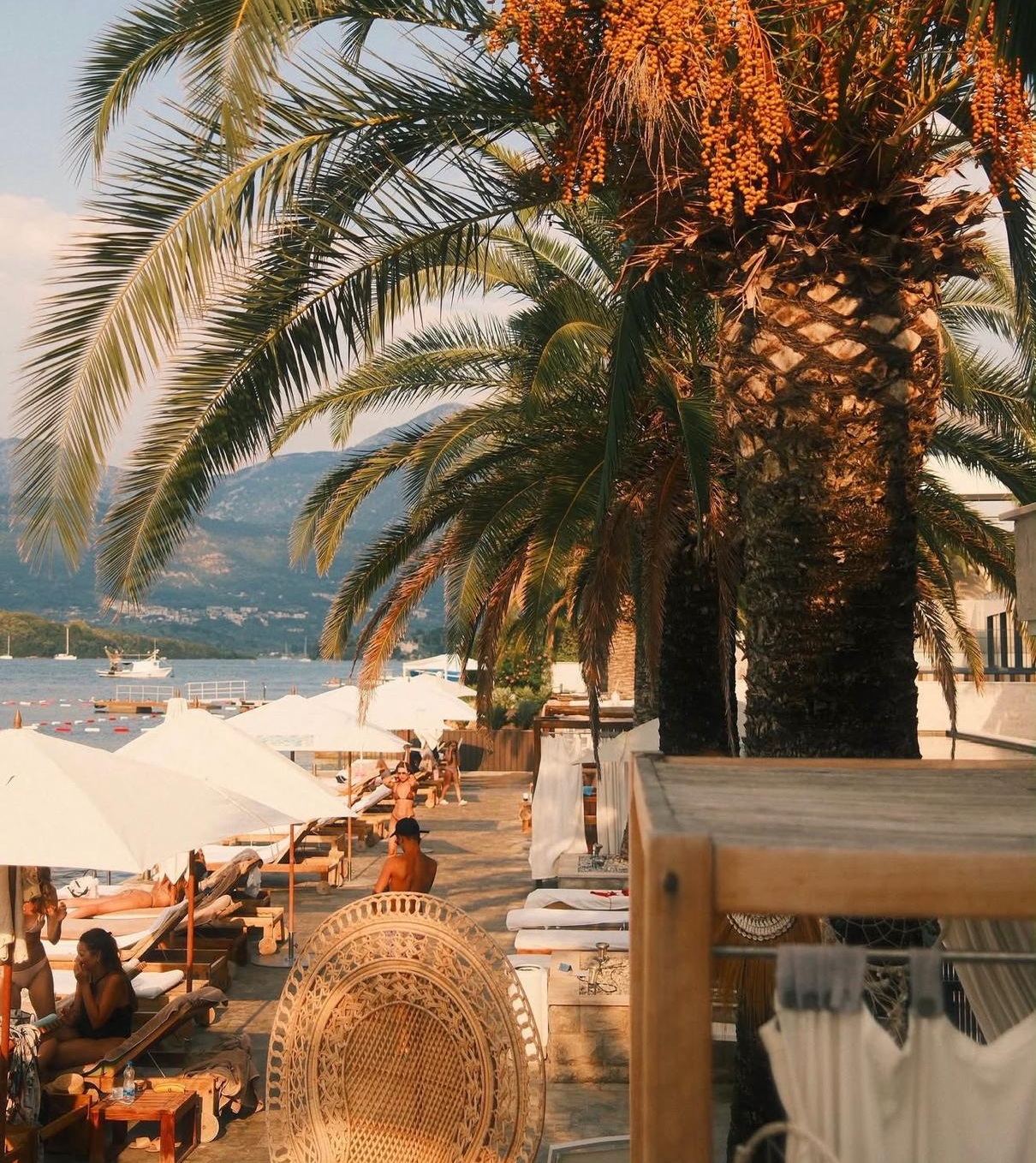 Ležaljke pod palmama i pletena fotelja na plaži Monte Palm Beach u Tivtu