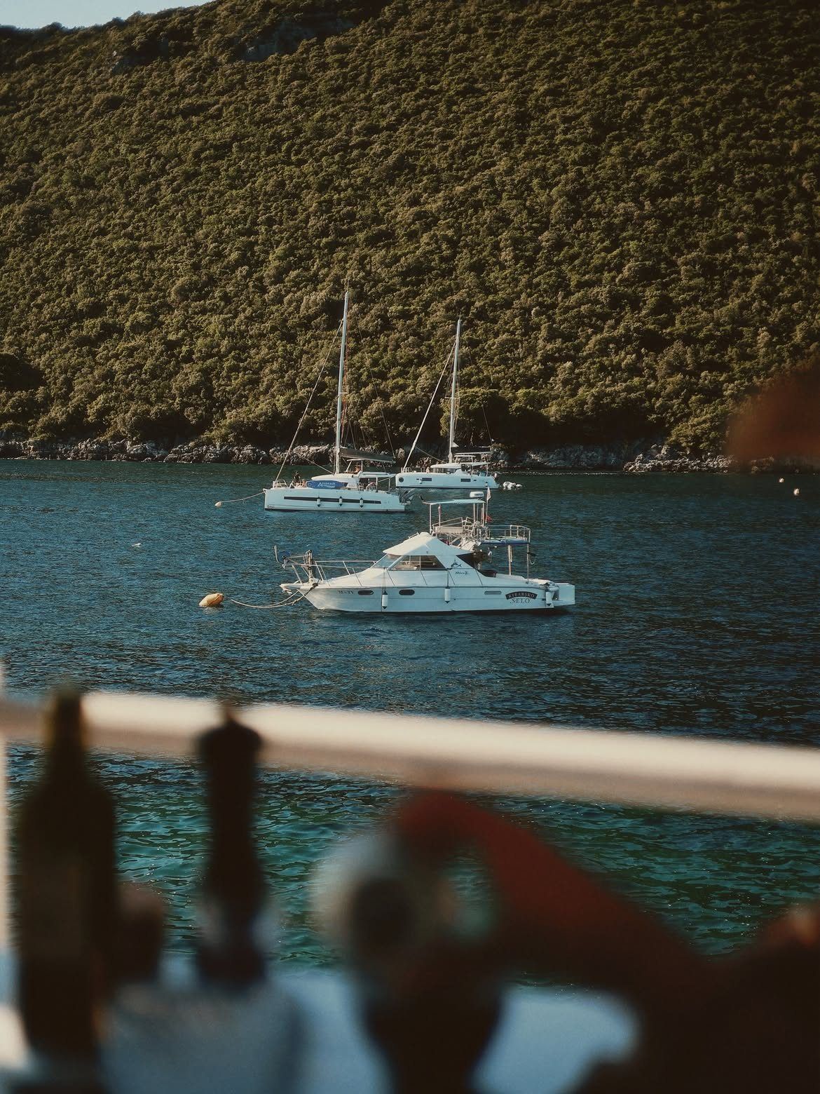 Jahte usidrene u zalivu ispred Ribarskog Sela na Luštici, zeleno brdo iza