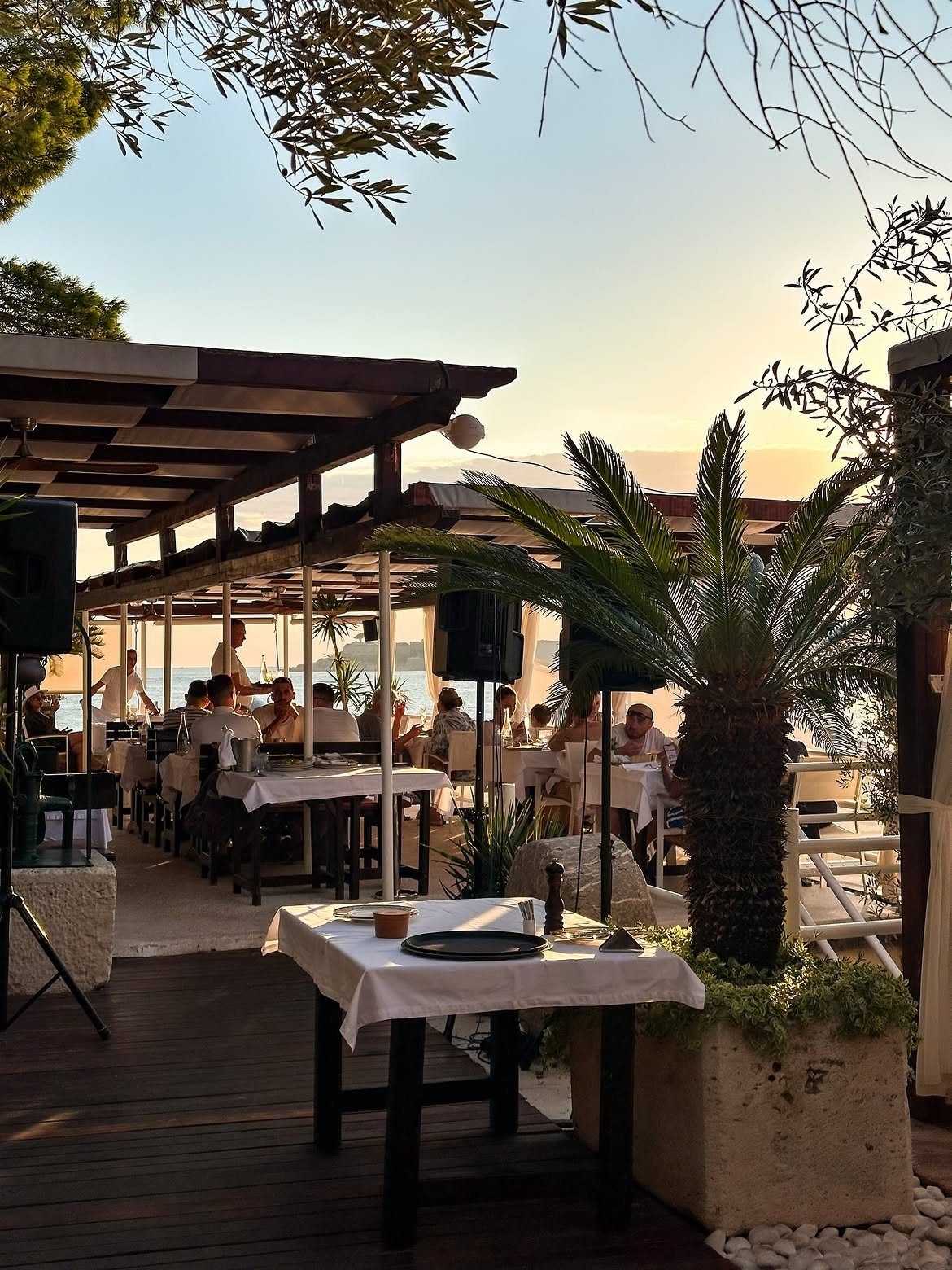 Terasa Ribarskog Sela na Luštici u sumrak, palma, gosti i tople lampe
