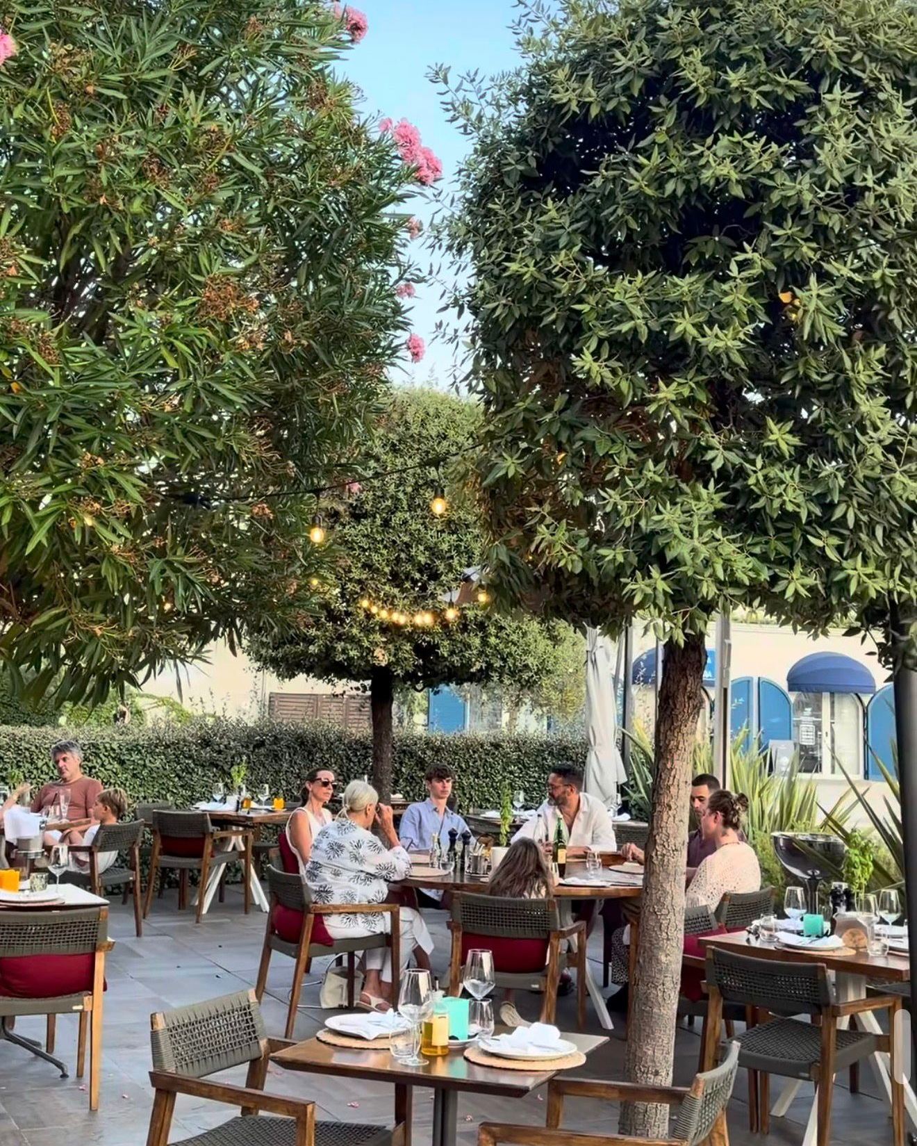 Stolovi pod oleandrima i maslinama u bašti restorana Signorina na Luštici